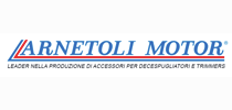 ARNETOLI MOTOR